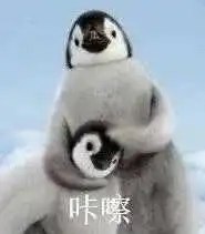 main kartu as Burung kecil Jiang Wan terletak di pelukan Liu Zhijie